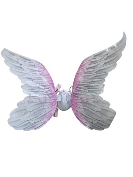 Alas grande Iluminada Mariposa Brillante